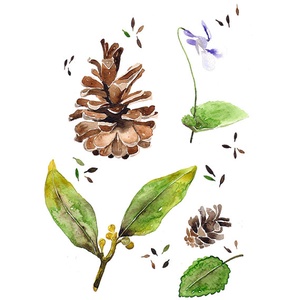 Séta az erdőben - Print (Akvarell) - Meska.hu