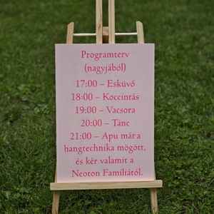 Vicces esküvői program tábla  rózsaszínben  - esküvő - dekoráció - tábla & jelzés - Meska.hu