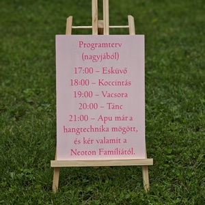 Vicces esküvői program tábla  rózsaszínben , Esküvő, Dekoráció, Tábla & Jelzés, Fotó, grafika, rajz, illusztráció, MESKA