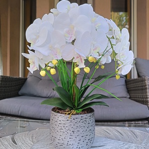 Elegáns orchidea dekoráció kerámiakaspóban , Otthon & Életmód, Dekoráció, Asztal és polc dekoráció, Asztaldísz, Virágkötés, MESKA