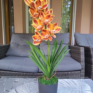 Különleges orchidea dekoráció kerámiakaspóban , Otthon & Életmód, Dekoráció, Asztal és polc dekoráció, Asztaldísz, Virágkötés, MESKA