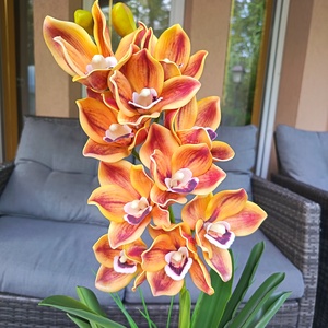 Különleges orchidea dekoráció kerámiakaspóban  - otthon & életmód - dekoráció - asztal és polc dekoráció - asztaldísz - Meska.hu
