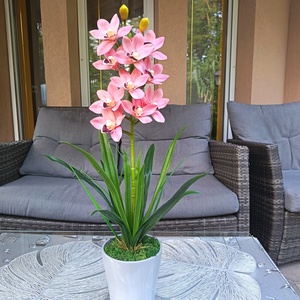 Élethű, különleges orchidea kerámiakaspóban , Otthon & Életmód, Dekoráció, Asztal és polc dekoráció, Asztaldísz, Virágkötés, MESKA