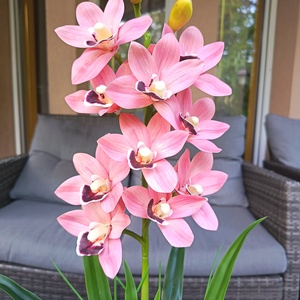 Élethű, különleges orchidea kerámiakaspóban  - otthon & életmód - dekoráció - asztal és polc dekoráció - asztaldísz - Meska.hu Élethű, különleges orchidea kerámiakaspóban  - otthon & életmód - dekoráció - asztal és polc dekoráció - asztaldísz - Meska.hu