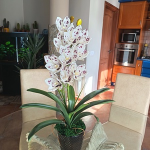 Élethű, különleges csónakorchidea , Otthon & Életmód, Dekoráció, Asztal és polc dekoráció, Asztaldísz, Virágkötés, 65 cm magas, realisztikus, különleges Cymbidium, csónakorchidea, csodás részletgazdag kidolgozású, ..., MESKA
