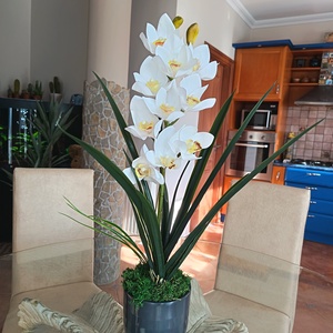 Gondozásmentes, élethű csónakorchidea  - Meska.hu