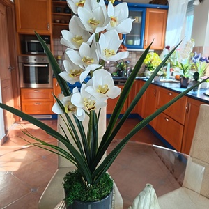 Gondozásmentes, élethű csónakorchidea  - otthon & életmód - dekoráció - asztal és polc dekoráció - asztaldísz - Meska.hu
