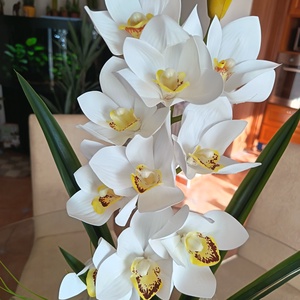 Gondozásmentes, élethű csónakorchidea  - otthon & életmód - dekoráció - asztal és polc dekoráció - asztaldísz - Meska.hu