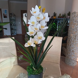 Gondozásmentes, élethű csónakorchidea  - otthon & életmód - dekoráció - asztal és polc dekoráció - asztaldísz - Meska.hu