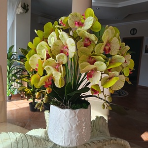 Különleges real touch orchidea dekoráció  - otthon & életmód - dekoráció - asztal és polc dekoráció - asztaldísz - Meska.hu