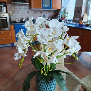 Orchidea dekoráció türkiz kaspósban  - Meska.hu