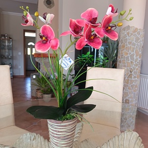 Elegáns, élethű orchidea dekoráció kerámiakaspóban  - Meska.hu