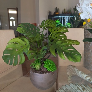 Élethű mini könnyezőpálma pozsgásokkal  - otthon & életmód - dekoráció - asztal és polc dekoráció - asztaldísz - Meska.hu