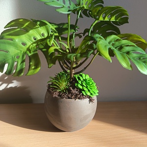 Élethű mini könnyezőpálma pozsgásokkal  - otthon & életmód - dekoráció - asztal és polc dekoráció - asztaldísz - Meska.hu