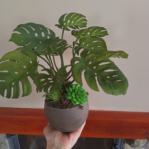 Élethű mini könnyezőpálma pozsgásokkal  - otthon & életmód - dekoráció - asztal és polc dekoráció - asztaldísz - Meska.hu