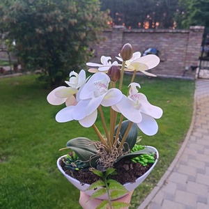 Fehér orchideás asztaldísz csónakkaspóban - otthon & életmód - dekoráció - asztal és polc dekoráció - asztaldísz - Meska.hu