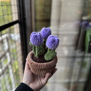 Lila tulipán  - Meska.hu