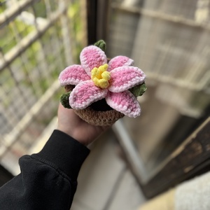 Rózsaszín virág kaspóban  - Meska.hu