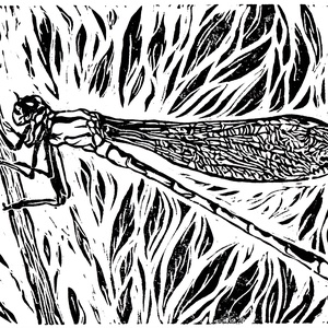 Eredeti szitakötős linómetszet / kézzel készített nyomat - művészet - grafika & illusztráció - művészi nyomat - Meska.hu