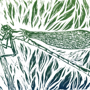 Szitakötő � eredeti linónyomat - művészet - grafika & illusztráció - művészi nyomat - Meska.hu
