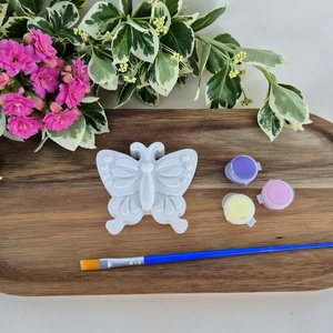 DIY Kreatív festhető gipsz pillangó csomag, DIY (Csináld magad), Egységcsomag, Gipszöntés, MESKA