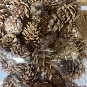 Salignum natúr termés - otthon & életmód - dekoráció - virágdísz és tartó - koszorú - Meska.hu