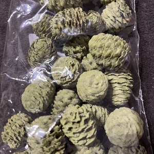 Meridianum szárított termés, Otthon & Életmód, Dekoráció, Virágdísz és tartó, Koszorú, Virágkötés, MESKA