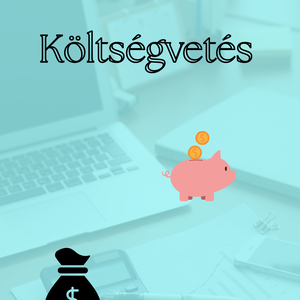 Költségvetés , Otthon & Életmód, Papír, írószer, Naptár & Tervező, , MESKA