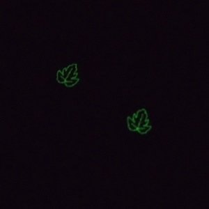 Levél - hímzett fülbevaló (sötétben világít) - ékszer - fülbevaló - lógó fülbevaló - Meska.hu