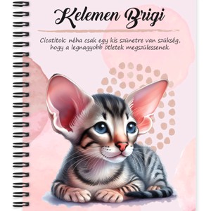 Személyre szabható - Cuki devon cicus mintás A6-os füzet, Otthon & Életmód, Papír, írószer, Jegyzetfüzet & Napló, , MESKA