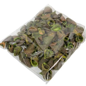 Lali 22 dkg-os - világos zöld - kellékek & szerszámok - dekorációs kellékek - termések, terméscsomagok - Meska.hu