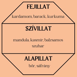 Barack mámor autóparfüm (gyümölcsös) - otthon & életmód - gyertya, illat, aroma - párologtató - Meska.hu