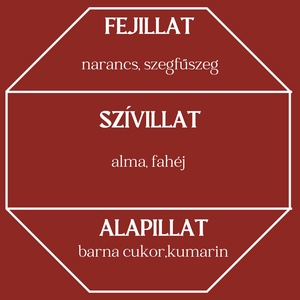 Forralt bor lakásparfüm /diffúzor (karácsonyi,édes,fűszeres)  - otthon & életmód - gyertya, illat, aroma - párologtató - Meska.hu