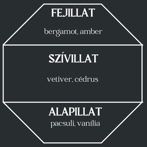 Amber autóparfüm (uniszex fűszeres)  - otthon & életmód - gyertya, illat, aroma - párologtató - Meska.hu