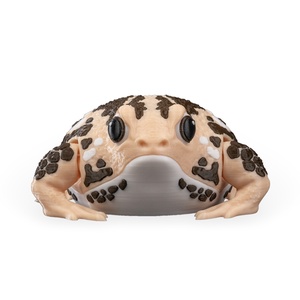 Hubert, az esőbéka  Egyedi 3D nyomtatott figura és dekoráció, Játék & Sport, Plüssállat & Játékfigura, Béka, , MESKA