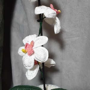 Orchidea kaspóval együtt, örökké virágzik  - otthon & életmód - dekoráció - virágdísz és tartó - csokor & virágdísz - Meska.hu