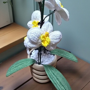 Orchidea kaspóval együtt, örökké virágzik  - Meska.hu