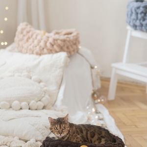 Cirmoskuckó Sötétbarna, , Horgolás, MESKA