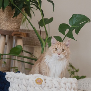 Cirmoskuckó Fehér, , Horgolás, MESKA