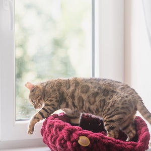 Cirmoskuckó Bordó, , Horgolás, MESKA