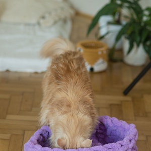 Cirmoskuckó Lila, , Horgolás, MESKA