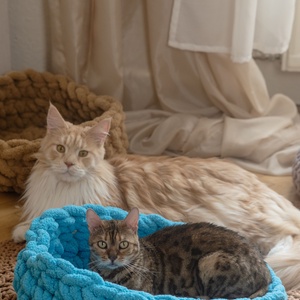 Cirmoskuckó Türkizkék, , Horgolás, MESKA