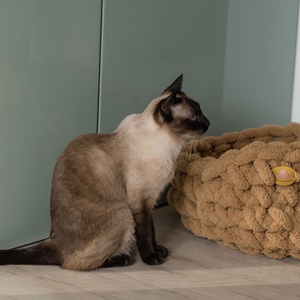 Cirmoskuckó Sötétbeige -  - Meska.hu