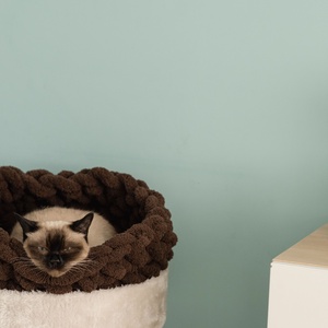 Cirmoskuckó Sötétbarna -  - Meska.hu