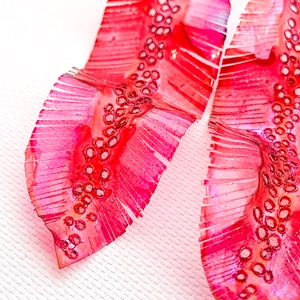 Tollafülbe fülbevaló, madártoll - fenntartható ékszer - ékszer - fülbevaló - lógó fülbevaló - Meska.hu