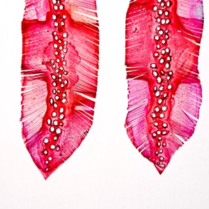 Tollafülbe fülbevaló, madártoll - fenntartható ékszer - ékszer - fülbevaló - lógó fülbevaló - Meska.hu