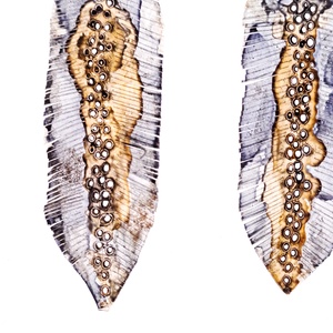 Tollafülbe fülbevaló, madártoll - fenntartható ékszer - ékszer - fülbevaló - lógó fülbevaló - Meska.hu