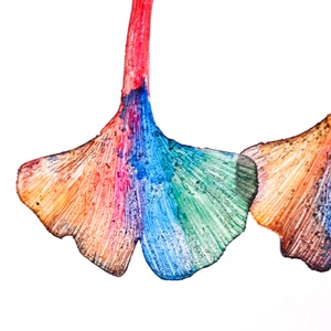 Ginkgo fülbevaló - fenntartható ékszer - ékszer - fülbevaló - lógó fülbevaló - Meska.hu