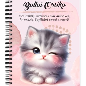 Személyre szabható - Kacsintós tündéri cica mintás A6-os füzet, Otthon & Életmód, Papír, írószer, Jegyzetfüzet & Napló, , MESKA