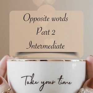 Opposite words - intermediate, Játék & Sport, Készségfejlesztő és Logikai játék, Oktató játékok, Mindenmás, MESKA